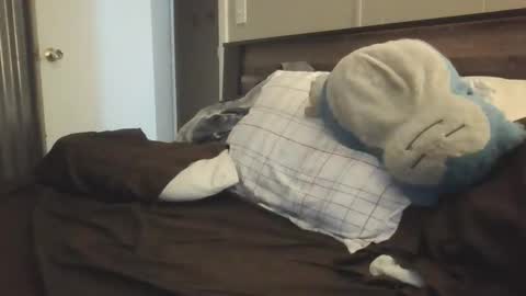 raxx online show from December 16, 3:46 am