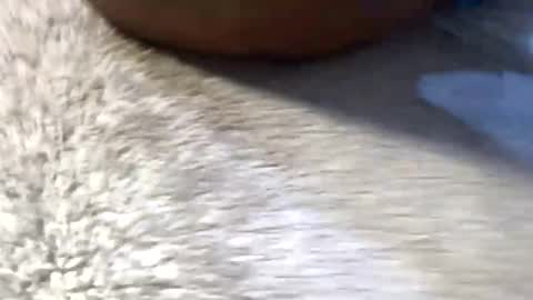 petitguynextdoor online show from September 10, 7:56 pm
