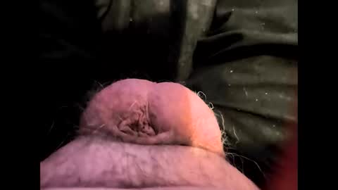 petrol63102 online show from February 7, 2:45 pm