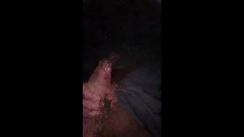 philllllll508346 online show from December 21, 5:48 am