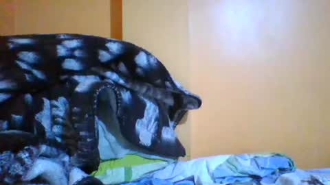 PICHULAMOJADA online show from June 30, 1:39 am