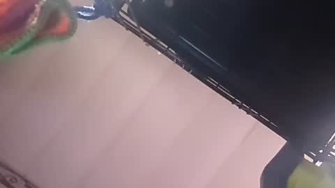 SEX ADDICTION WANNA MEET online show from December 20, 5:14 am