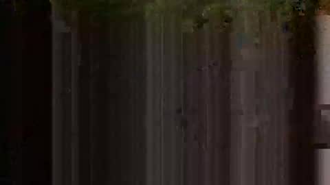 Awesomefun online show from March 25, 6:28 am