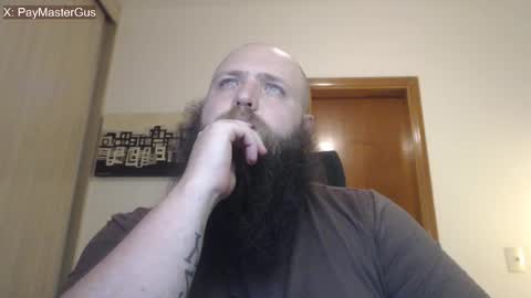 Bear online show from April 3, 4:09 am