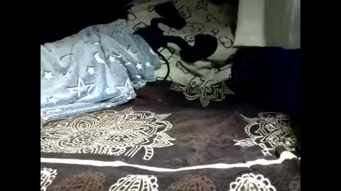 pollachico online show from February 18, 8:34 am