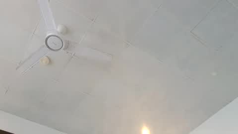 Paul online show from February 24, 8:26 am