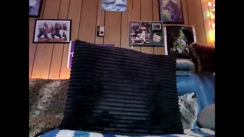 prettysolid7 online show from February 13, 7:03 am