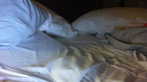 prince2929 online show from February 5, 5:36 am