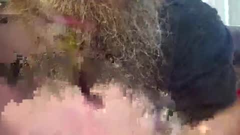 Clothingoptional online show from September 13, 2:23 am