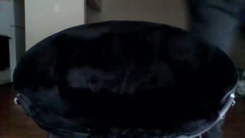 puertoricang online show from January 5, 4:06 pm