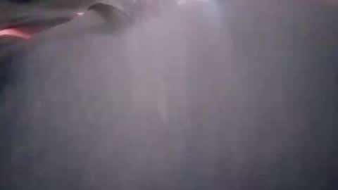 pumapumping online show from October 19, 5:49 pm