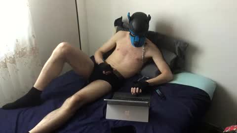 Toby online show from November 5, 11:12 am