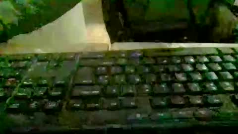 pup_y online show from January 5, 5:27 pm