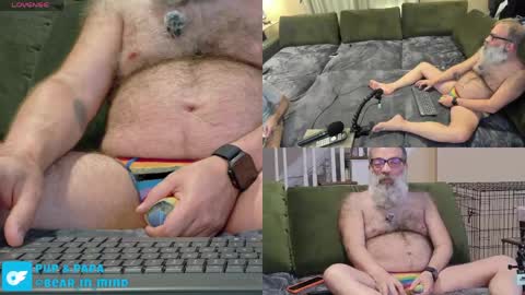 Pup And Papa bear online show from May 22, 1:32 am