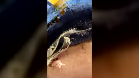putte71 online show from June 22, 7:07 pm