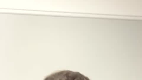 qcsis online show from March 7, 8:23 am