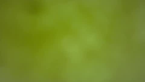 quinnxx online show from February 22, 6:37 am