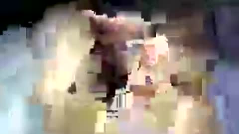 raimondhill online show from August 1, 12:42 am