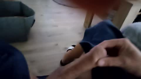 rakloro online show from October 12, 5:56 am