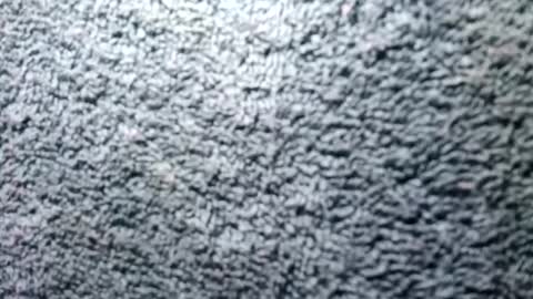 Rasta online show from November 2, 8:13 pm