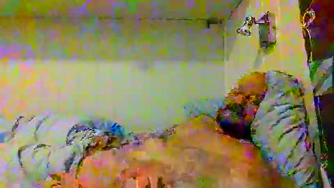 real_viking1 online show from November 20, 7:51 am