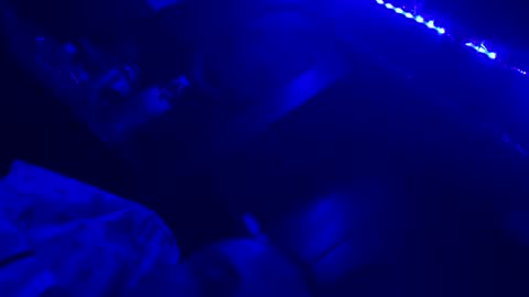 red1237609 online show from November 16, 7:27 pm