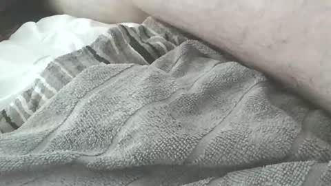 redwhiteblue_24 online show from March 9, 11:48 am