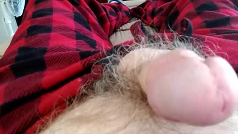 RobbieDog online show from December 2, 9:15 pm