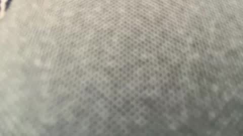 Robin online show from February 16, 12:10 pm