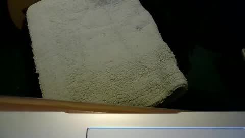 Roger online show from February 26, 5:36 pm