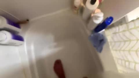 rockymtnhigh505 online show from December 14, 9:33 pm