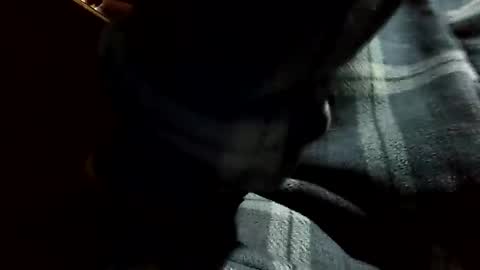 rodsterling420 online show from March 9, 9:25 pm