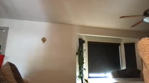 roger59267 online show from September 26, 7:22 pm