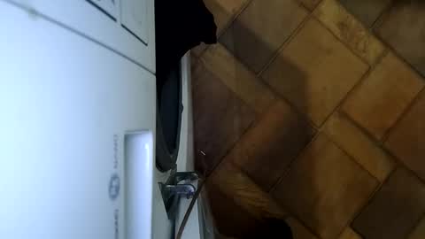 Roma online show from October 25, 3:08 am