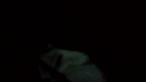 rompeculos121 online show from February 17, 4:53 am