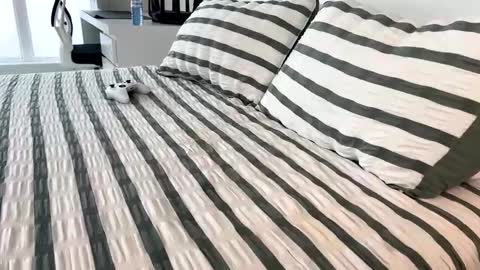 Ryan online show from April 12, 2:07 pm