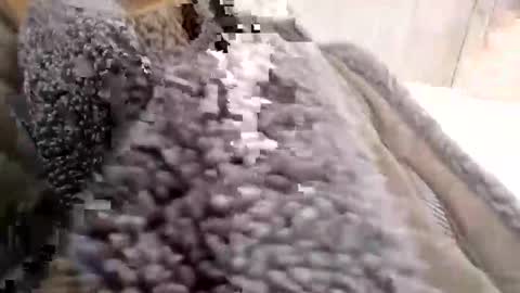 savy5150 online show from February 3, 12:54 pm