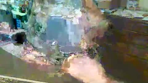 scotthard online show from November 9, 3:38 pm