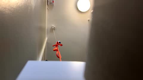 scottyc48 online show from April 9, 1:28 pm