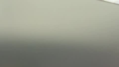 seaotter93 online show from March 21, 6:56 pm