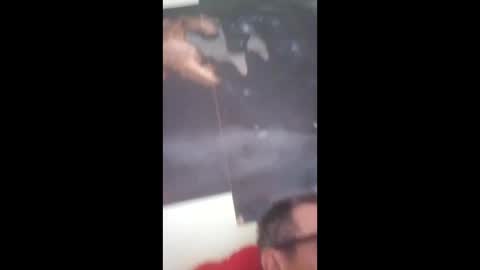 sergiobianchi977 online show from December 18, 12:34 pm