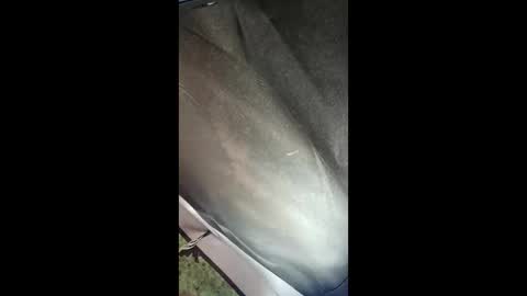 Steve Sexy throbbing hard big 10inch cock lots of Cum. online show from February 5, 11:01 pm