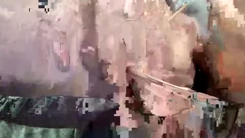 Sfcrja online show from January 5, 12:42 am