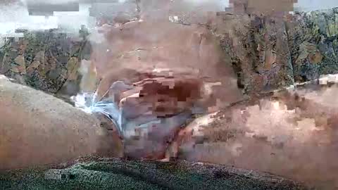 excelo21 online show from October 26, 7:21 am