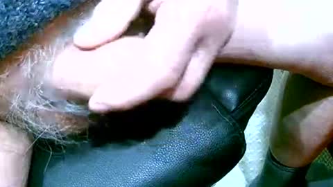 shootertog online show from February 2, 11:51 am