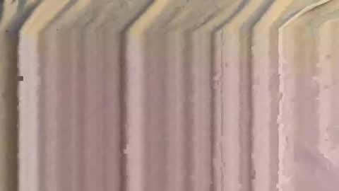 shuckinshorts online show from November 16, 11:23 am