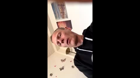 R online show from March 4, 8:32 am