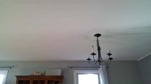 SirMike80 online show from May 21, 11:48 am