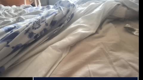 Snapshot of skima48 chatting on September 17, 7:53 am skima48 online show from September 17, 7:53 am