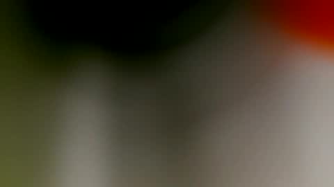 slickqcwheels online show from October 30, 8:49 am